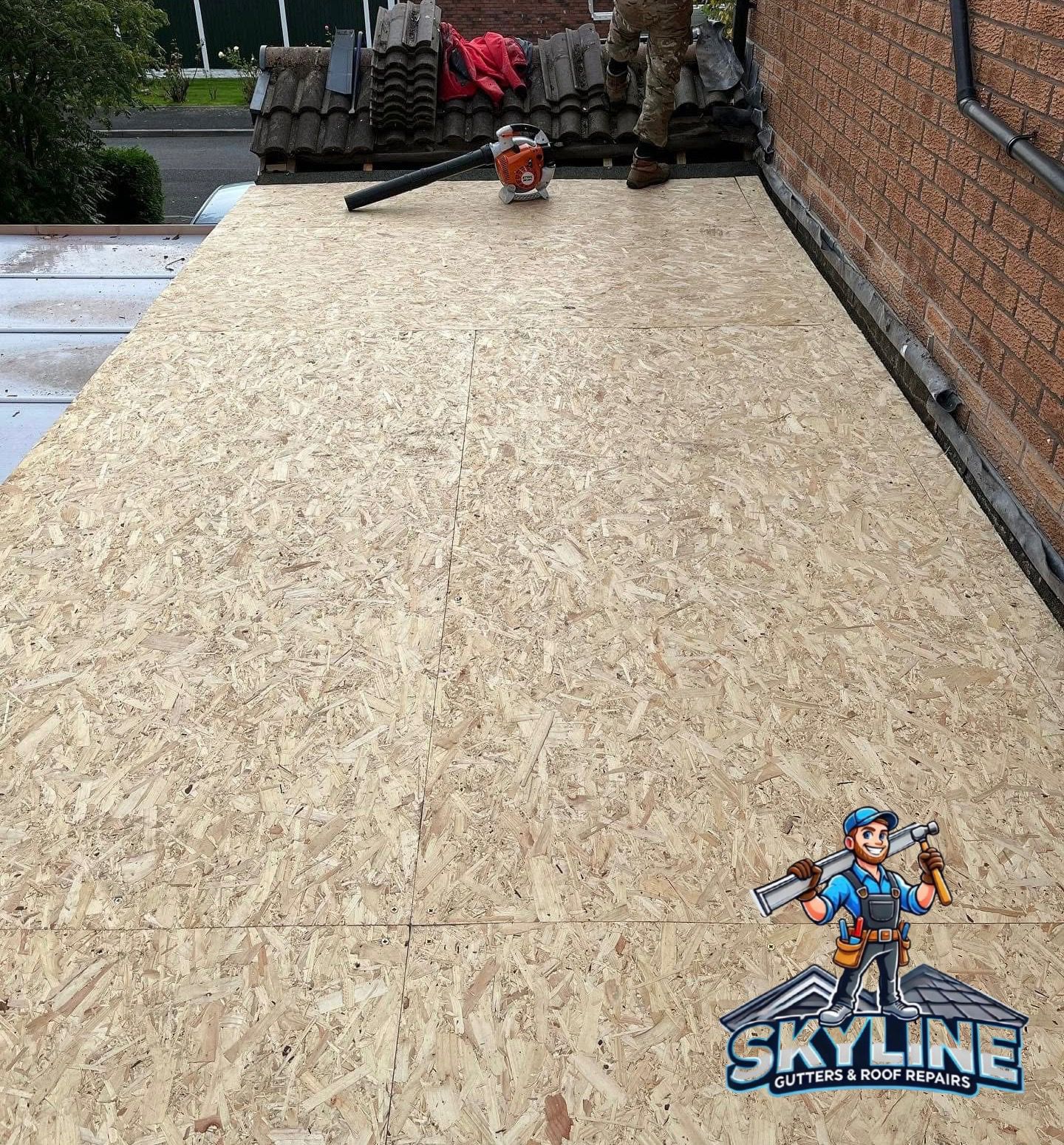 WhatsApp Image 2025-08-30 at 4.11.30 AM (2)