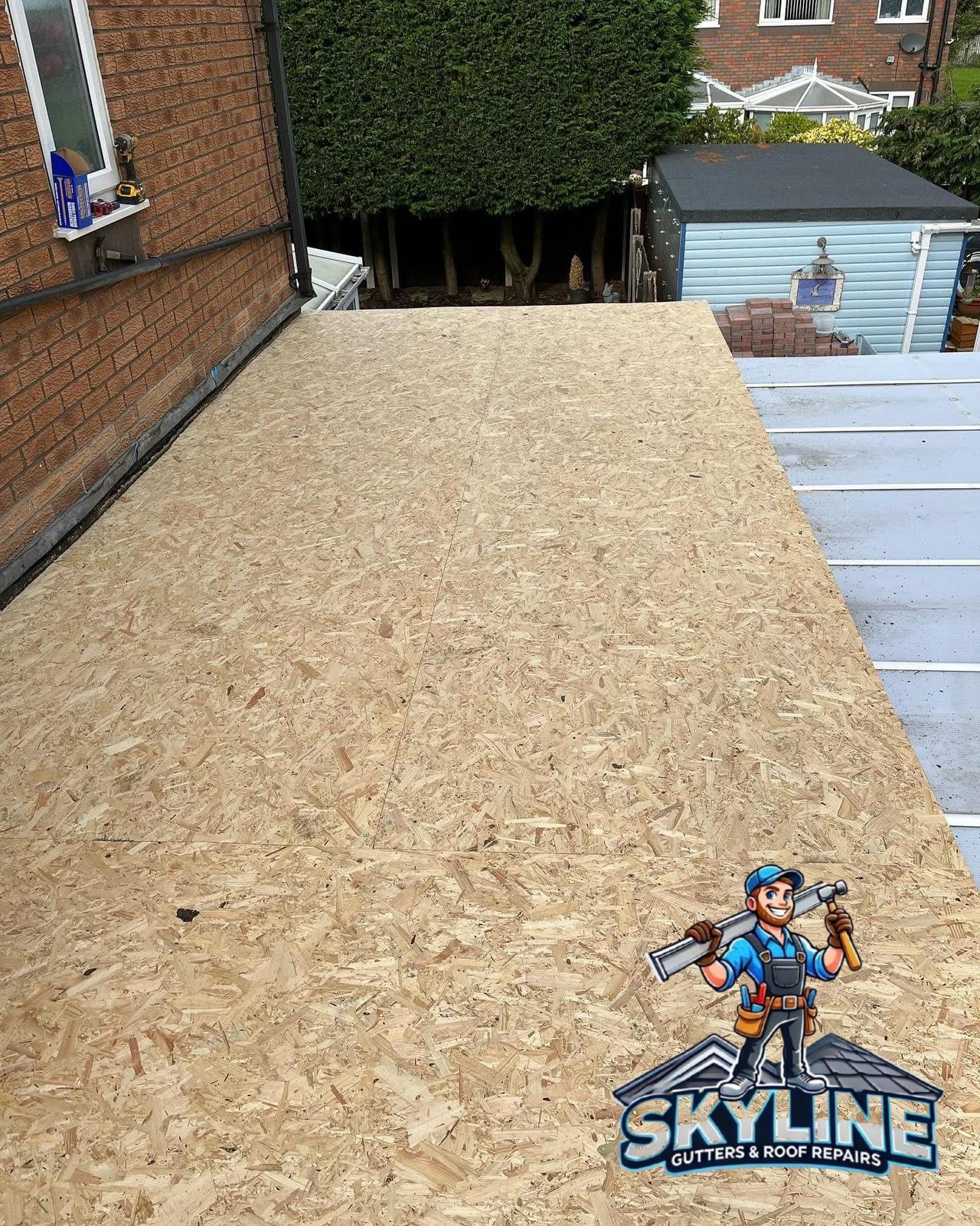 WhatsApp Image 2025-08-30 at 4.11.30 AM