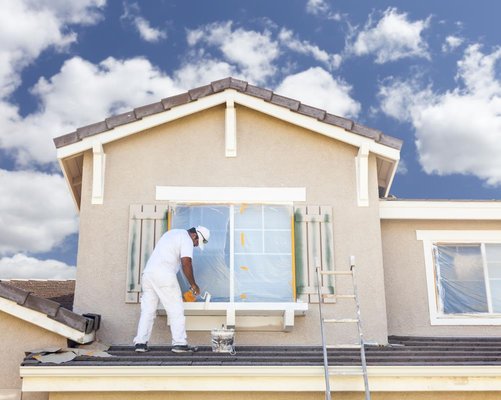 Painter working on interior and exterior walls in Dublin