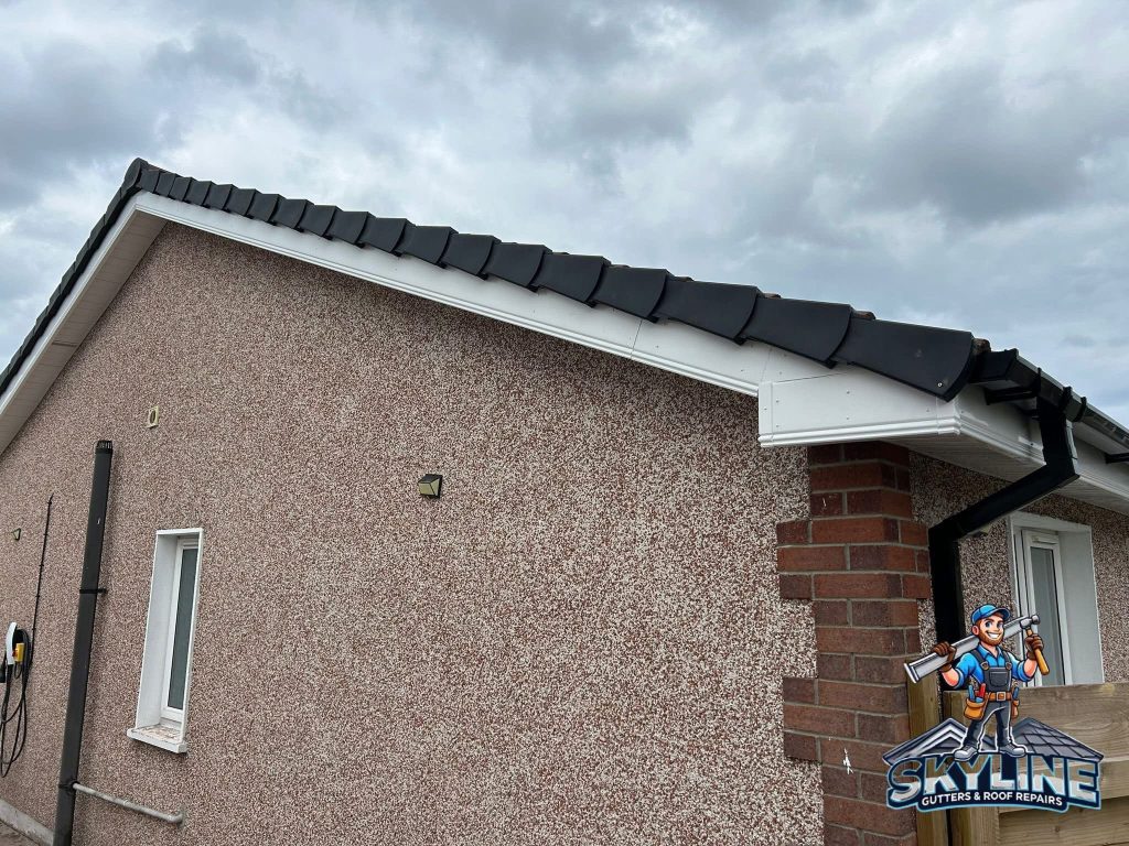 Gable end with black dry verge caps, a white bargeboard and a black gutter
